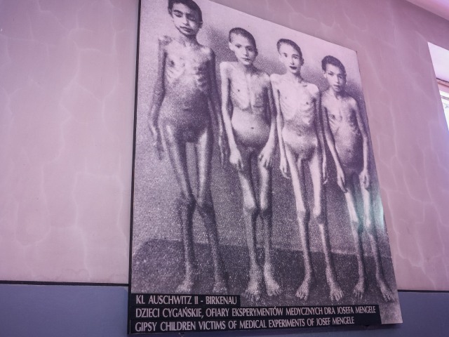 VIKEND-romovia-auschwitz romsky holokaust