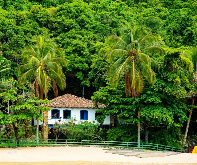 Costa Verde, Brazília, dom, palmy, prales, džungľa