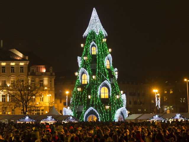Vianoce, vianočné stromčeky, vianočné stromy, námestie, svetlá, Litva, Vilnius