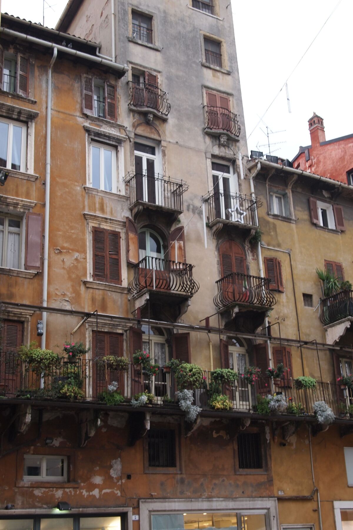 Verona, Taliansko, domy, budovy, mesto