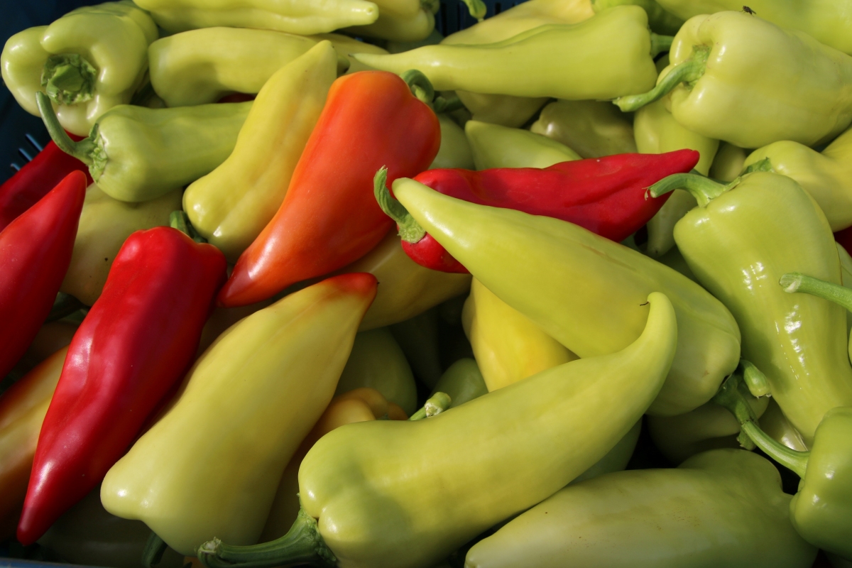 Paprika.