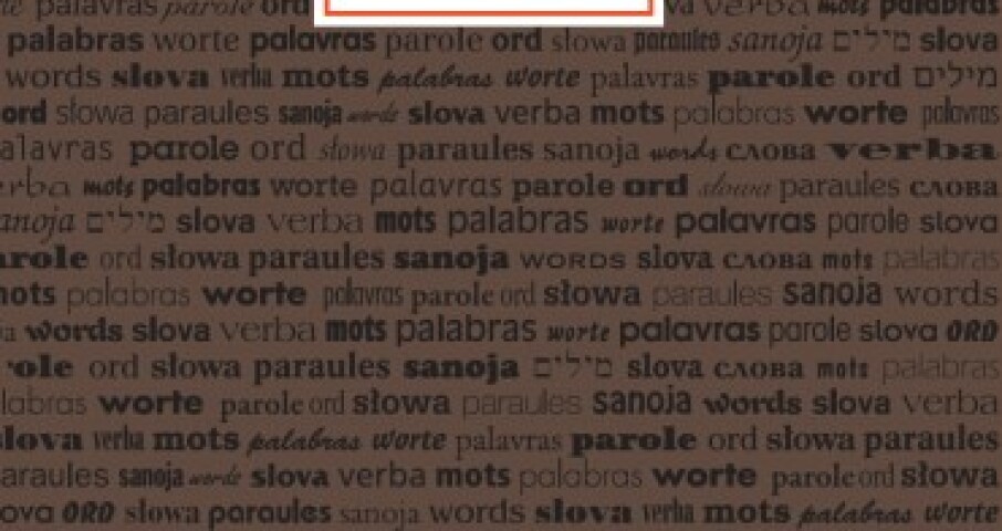 Amos Oz , Fania Oz-Salzbergerová   Židé a slova