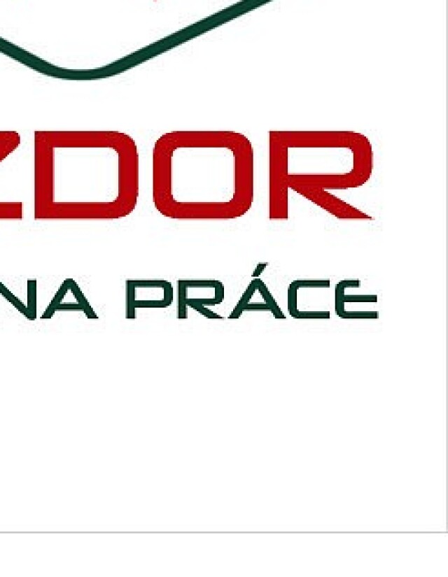 logo Vzdor-strana práce