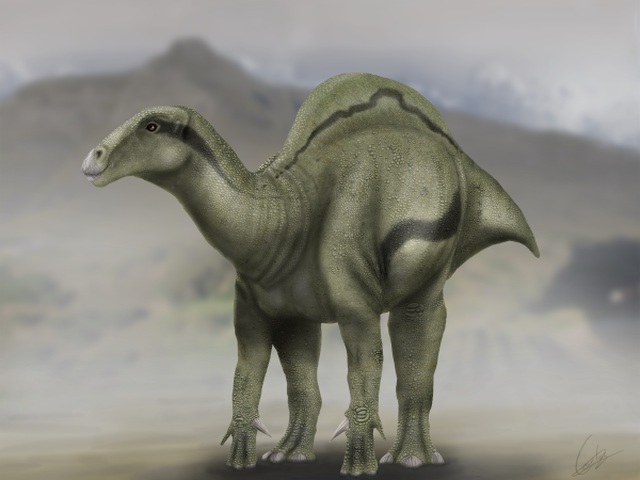 dinosaurus, Morelladon Beltran, nález, vykopávka