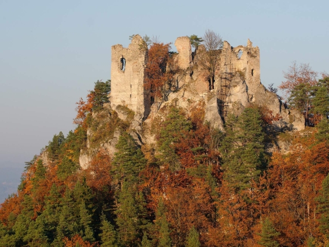 Hričov, hrad, zrúcanina, les