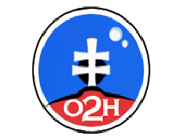 Logo, Odvaha - Veľká národná a proruská koalícia