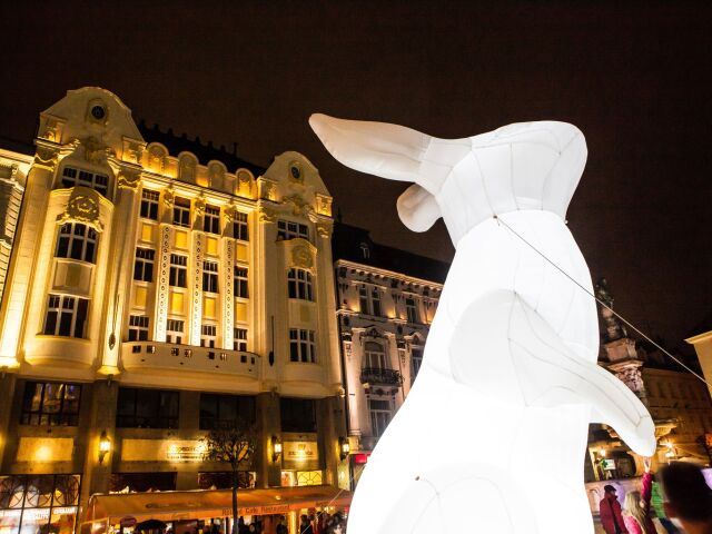 kultura, biela noc, hlavne namestie