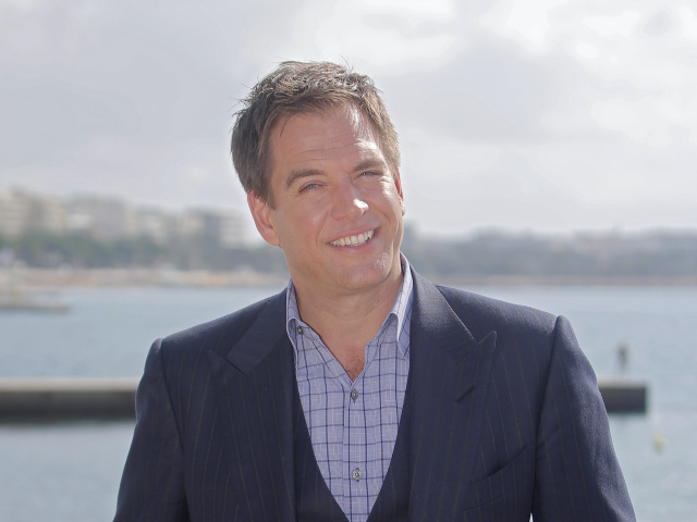 Michael Weatherly
