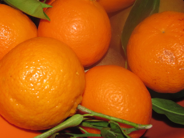 mandarinka
