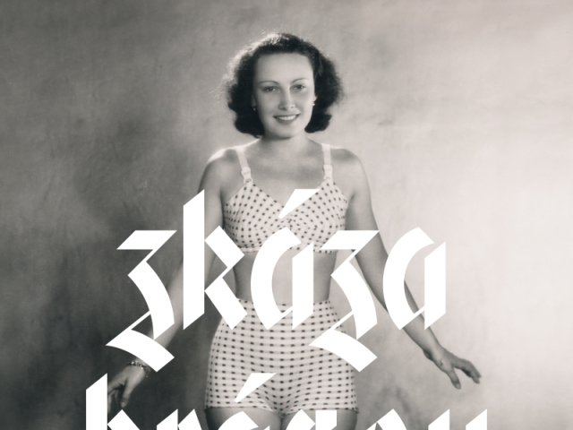 Skaza krasou