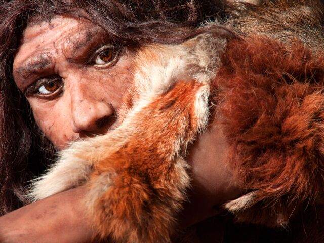 neandertalec