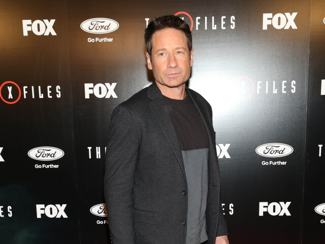 david Duchovny