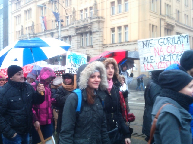 štrajk učiteľov, 25.1.2016