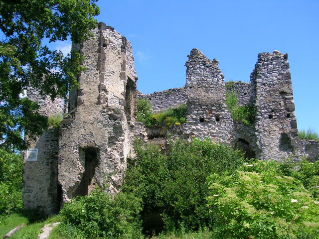 Viniansky hrad