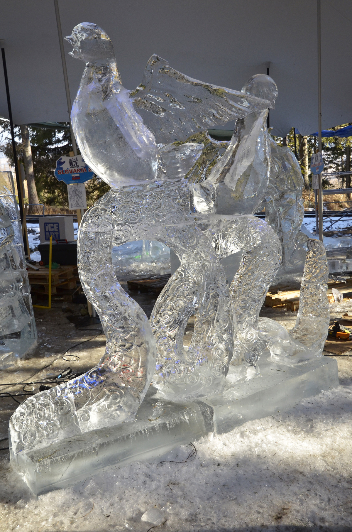 Tatry Ice Master 2016, Vysoké Tatry, ľadové sochy, Hrebienok