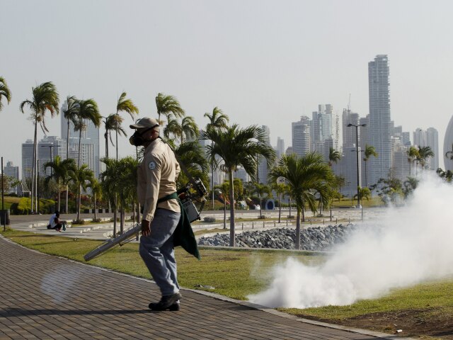 Zika, vírus, panama, komáre