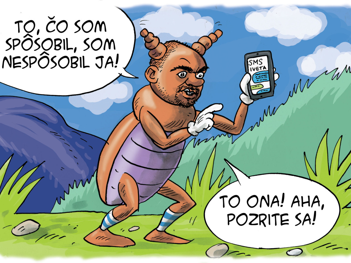 Danglár, 5.2.2016