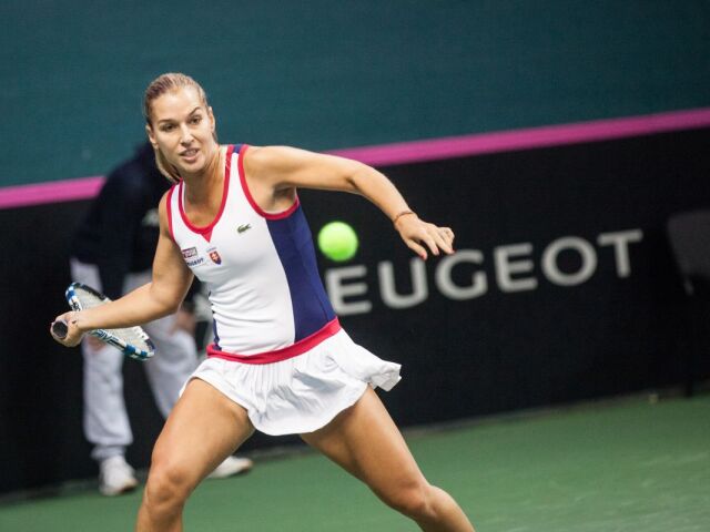 Dominika Cibulková