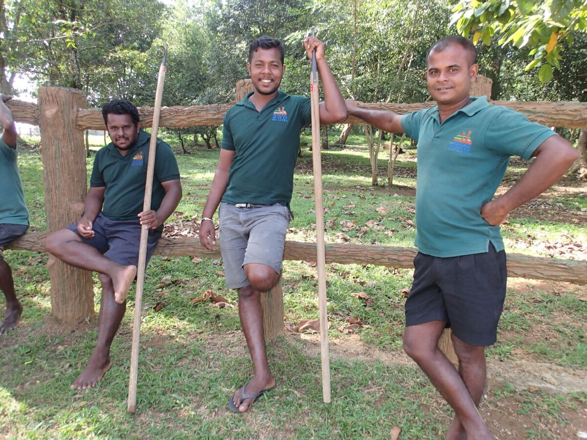 Slony, Srí Lanka, trus