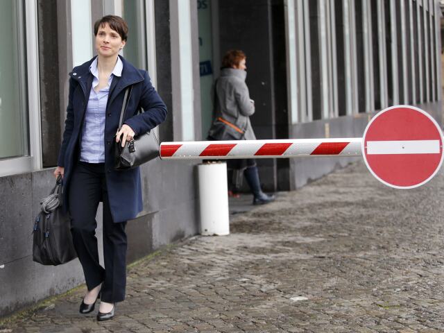 Frauke Petryová, AfD