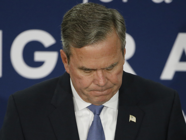 Jeb Bush