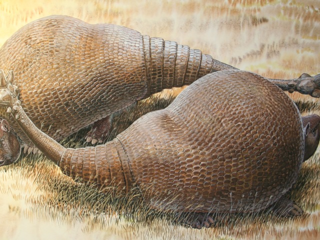 glyptodonty, predchodca pásavcov