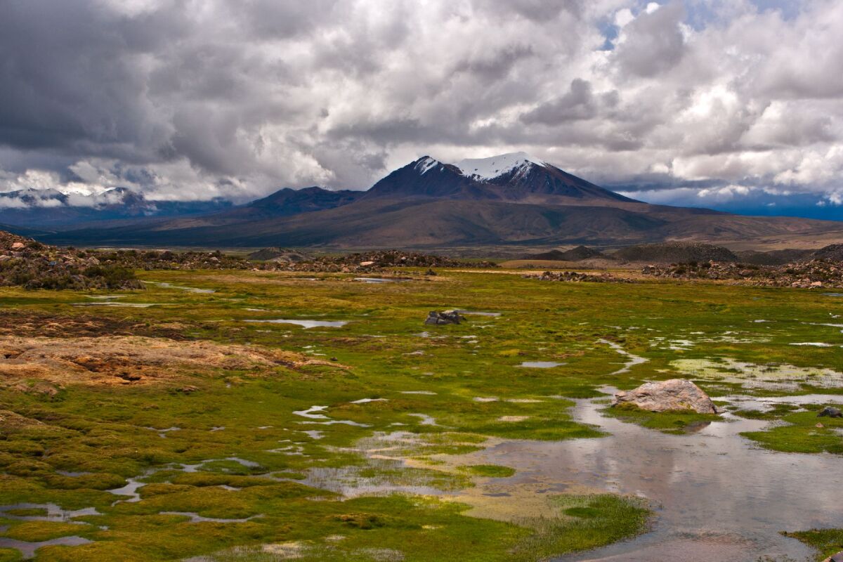 Čile, Tarapaca, Parinacota, Južná Amerika