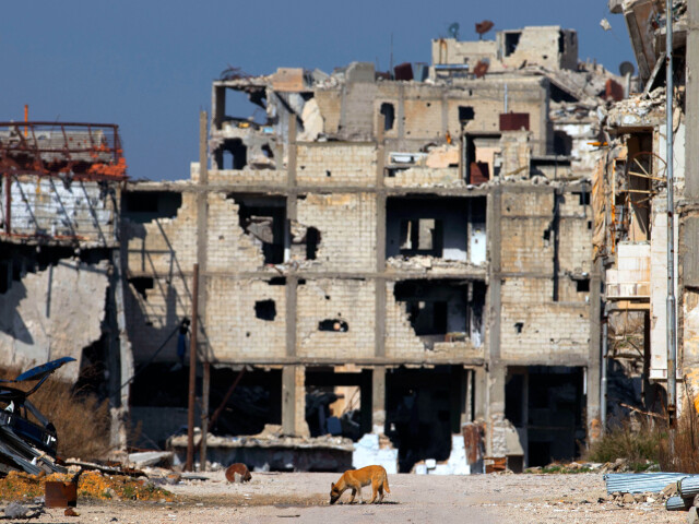 syria, homs