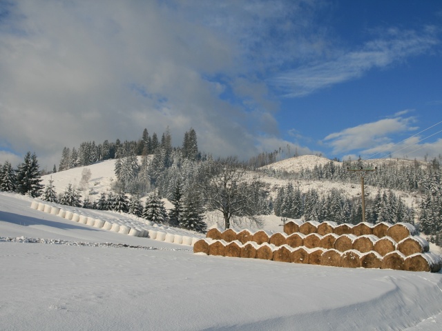zima, sneh, krajina, pole, balíky slamy