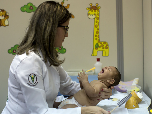 Zika, Brazília, mikrocefália