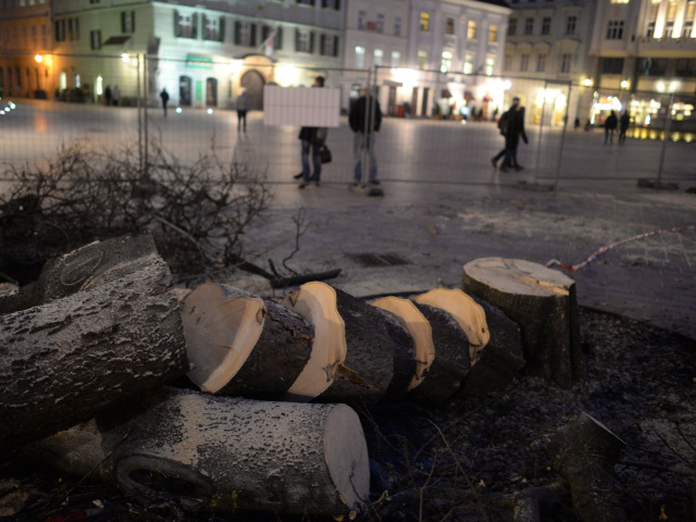 BRATISLAVA: Výrub stromov na Františkánskom