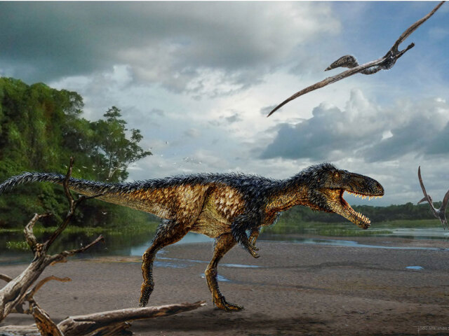 T-rex, tyrannosaurus rex, Timurlengia euotica, dinosaurus