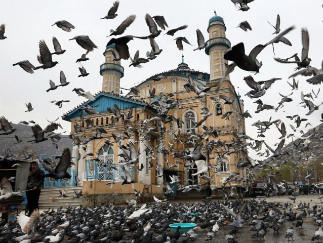Afganistan, vtáky, chrám, holuby,