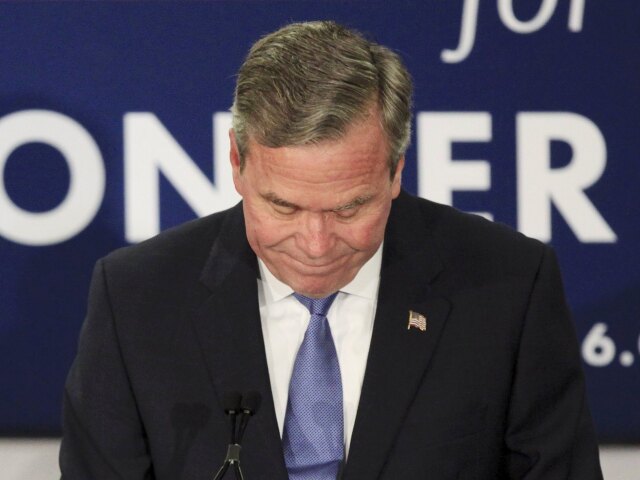 Jeb Bush