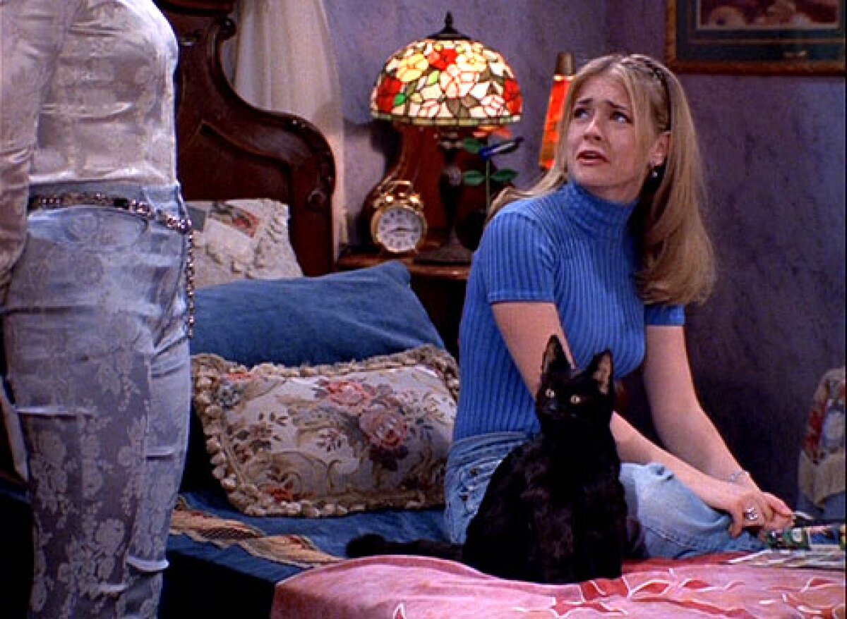 Melissa Joan Hart