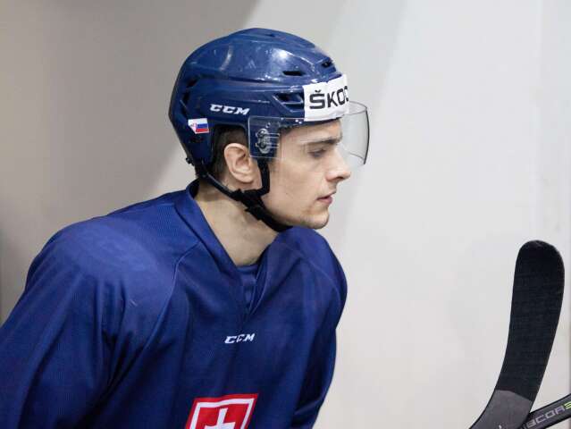 Michal Hlinka