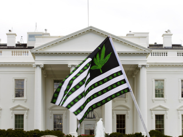 marihuana, Biely dom