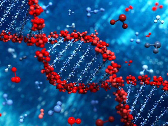 DNA, výskum, gény
