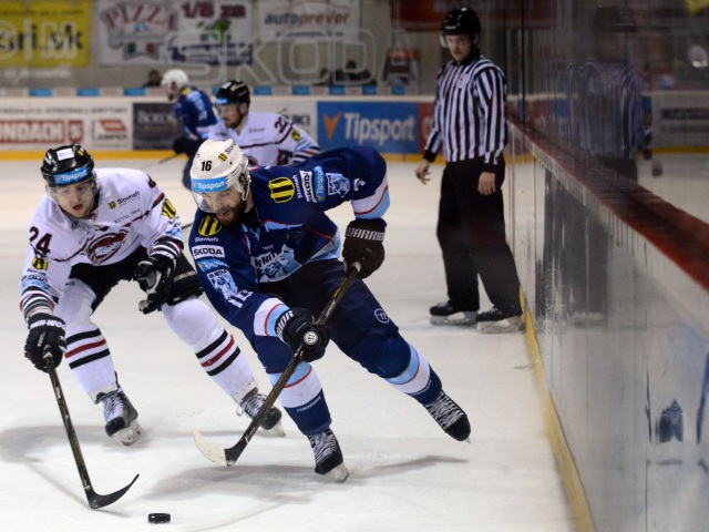 Tomáš Zigo, David Laliberté