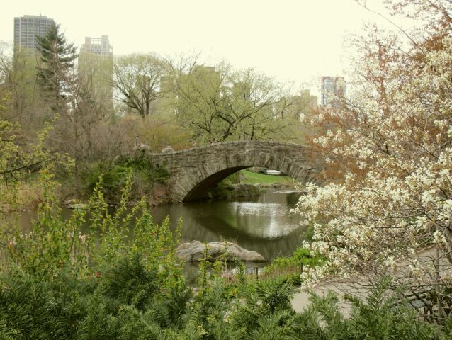 Central park, New York, kamenný most,