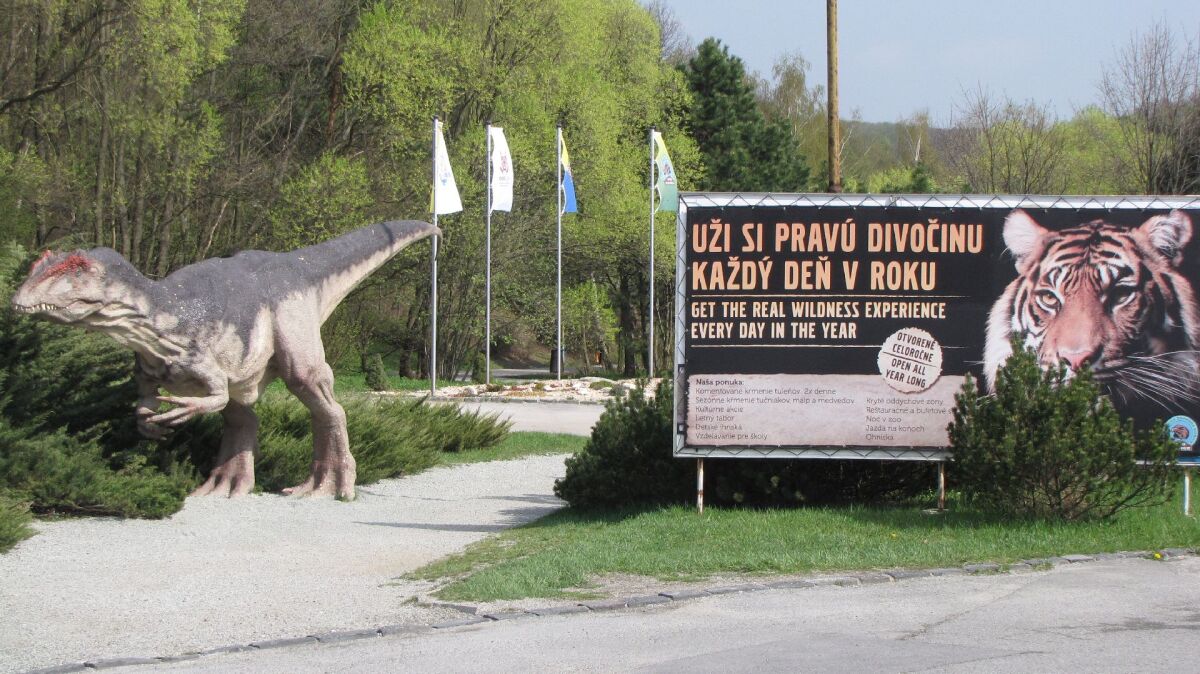 zoo, košice, dinopark, dinosaurus