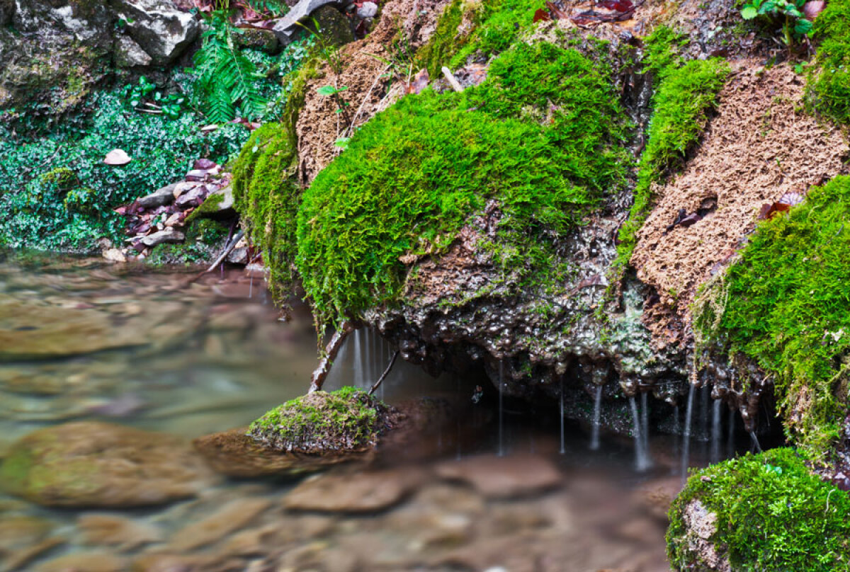 rieka Soča, Slovinsko