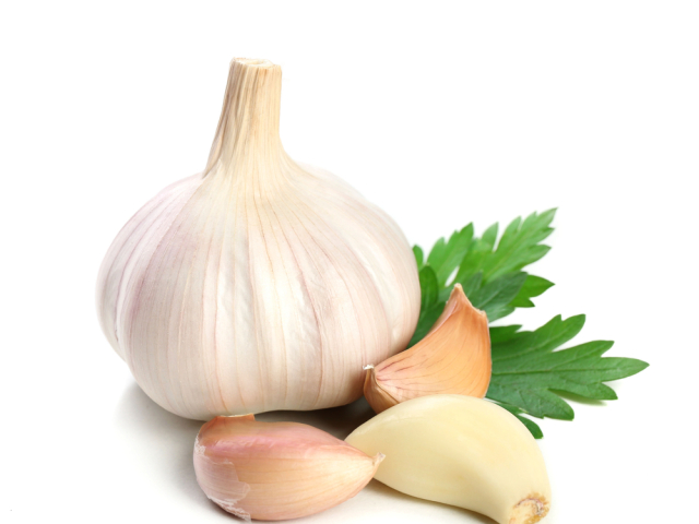 cesnak, chladnička, skladovanie