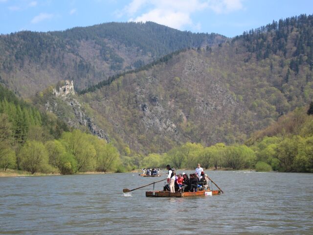 pltnici