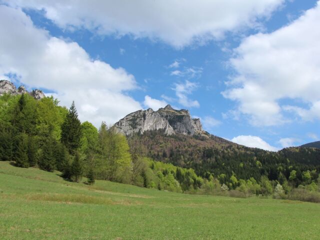 rozsutec,