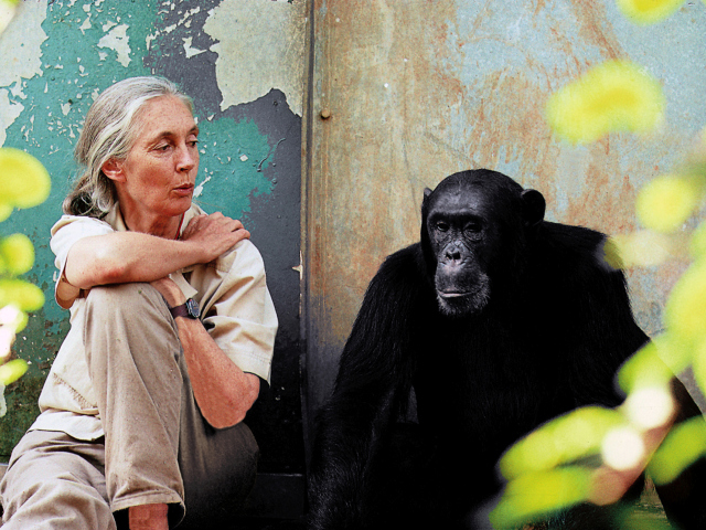 Jane Goodallová