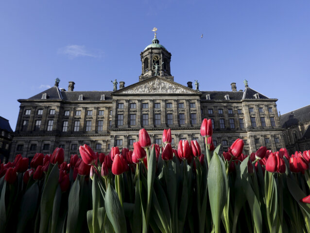 Amsterdam, Holandsko, tulipány, kráľovský palác