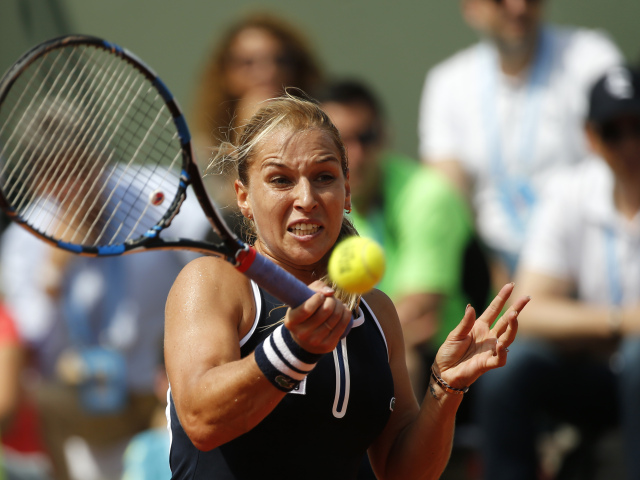 Cibulková