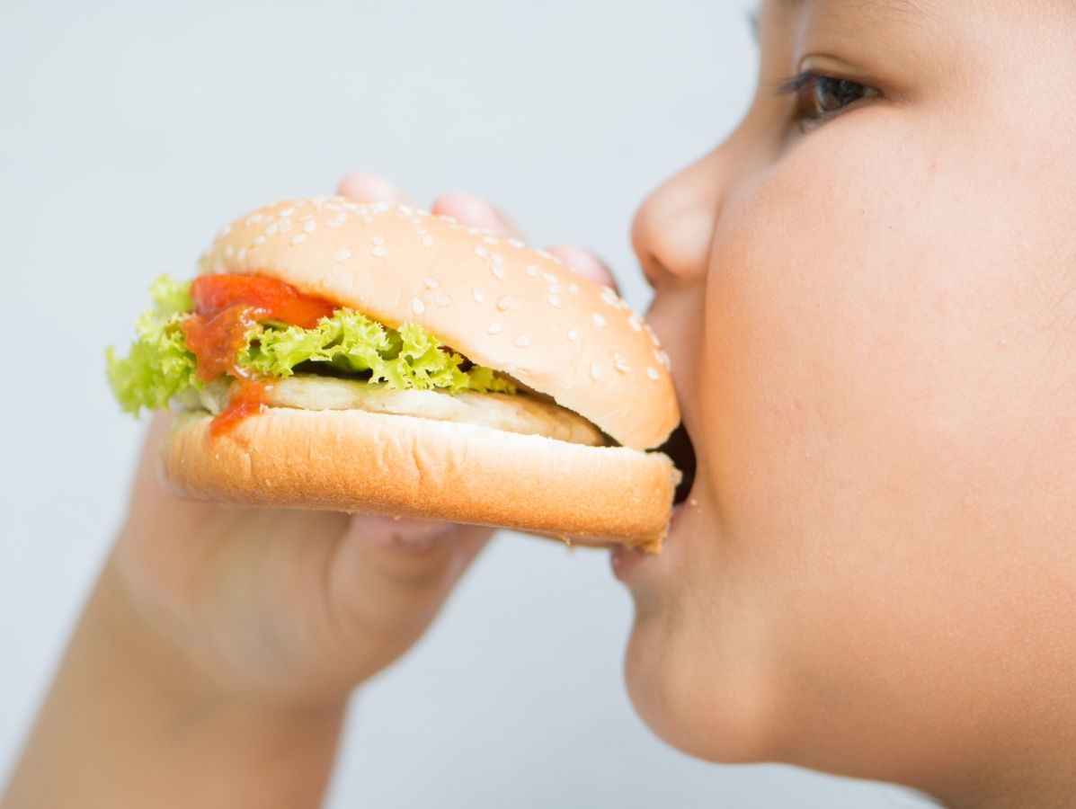 chalpec, hamburger, strava, fastfood