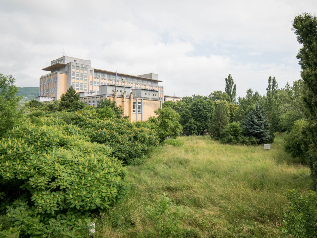 Cvernovka, kreatívci, umelci, priemyslovka